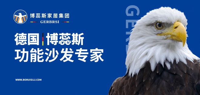 沙发专家 大国隐形冠军凯发网址博蕊斯——功能(图2)